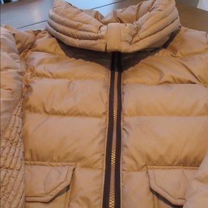 Gorgeous Puffer Jacket